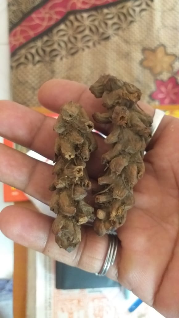 Relationship Problems